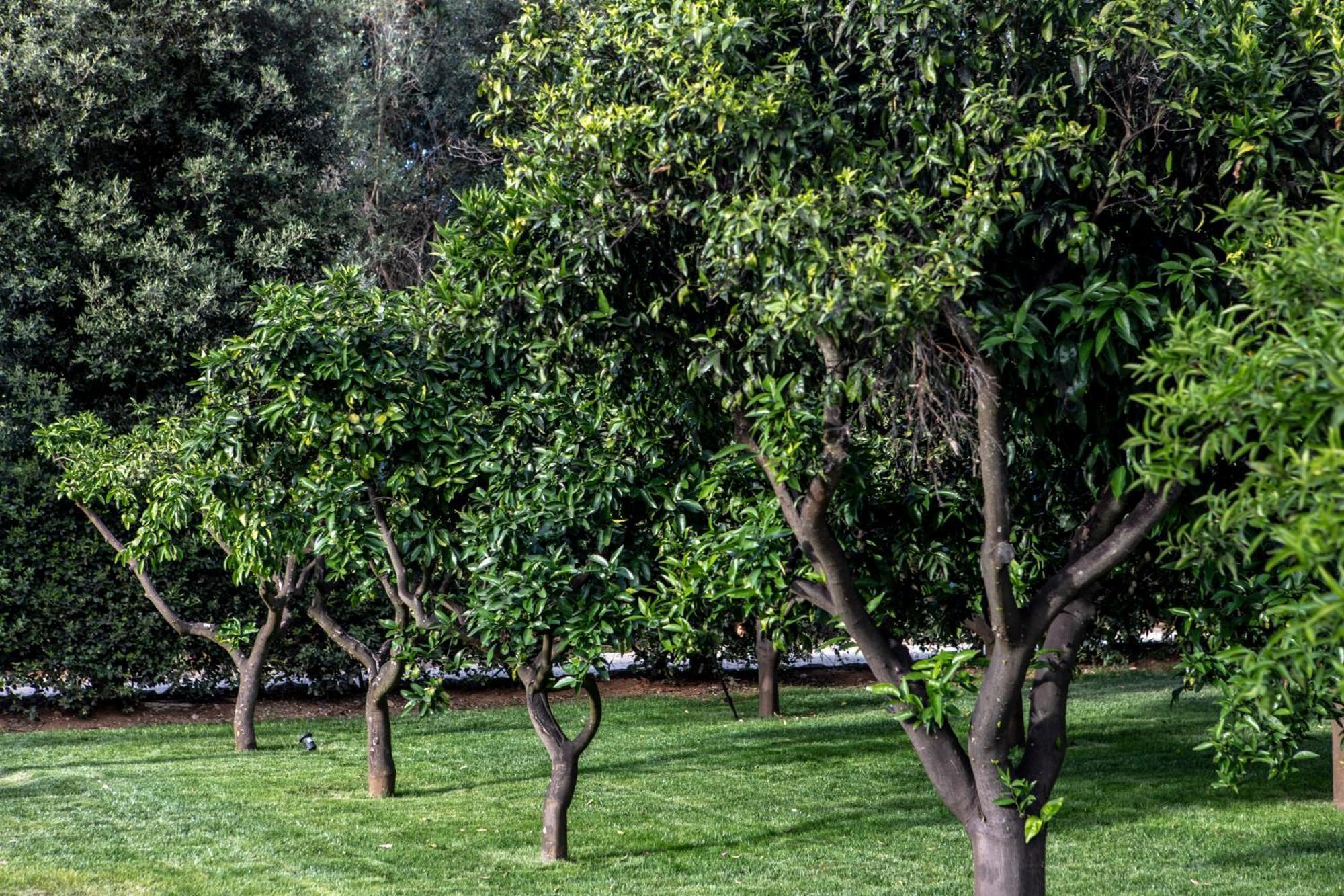 Villa Tuzzo Lecce Esterno foto